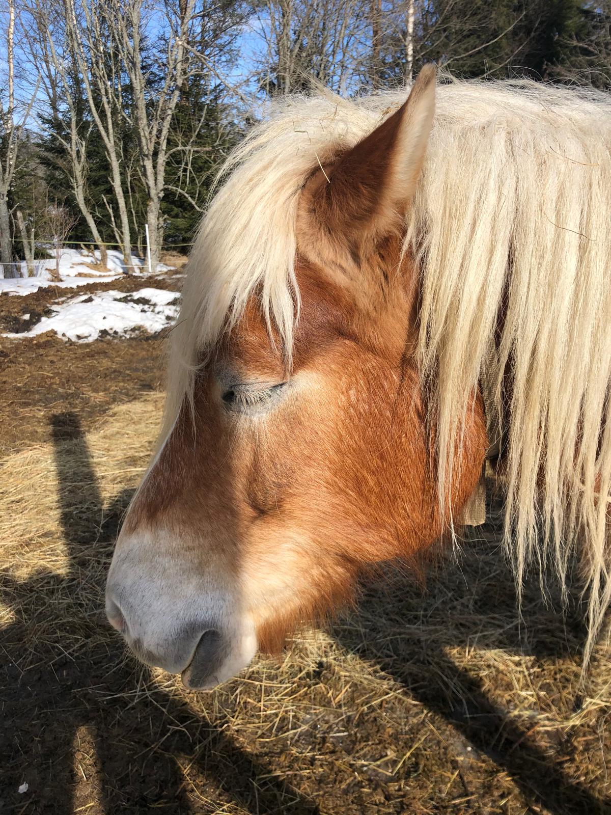 Apartmán Prášily (3 os.) - 10