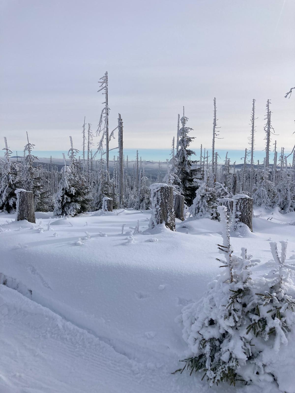 Apartmán Prášily (3 os.) - 5