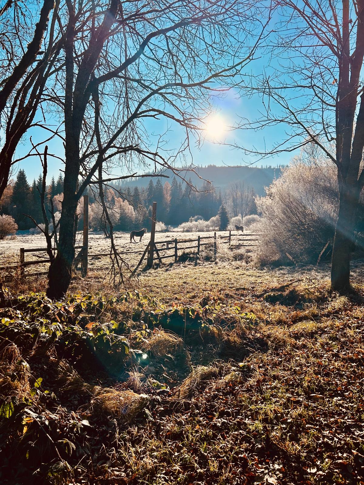 Apartmán Železná Ruda (4 os.) - 3
